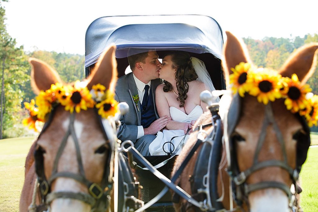 bride and groom with miniature donkeys