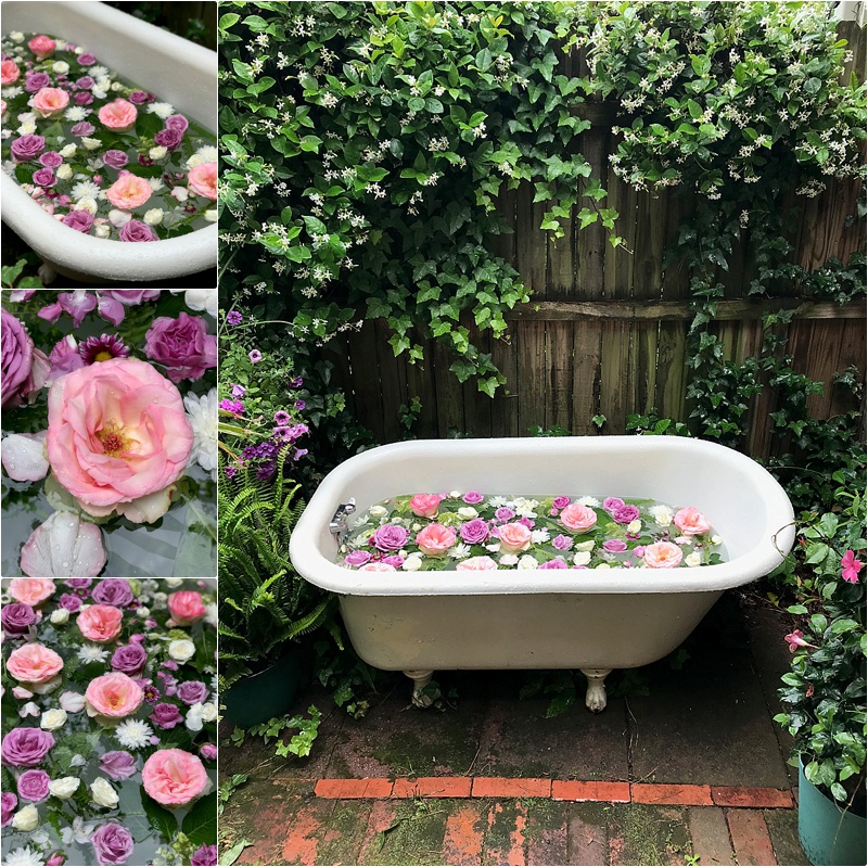 flowers in clawfoot tub in garden photos boudoir maternity