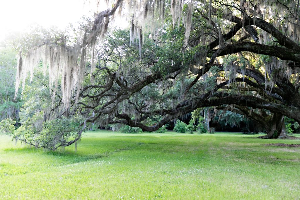 Savannah Ga