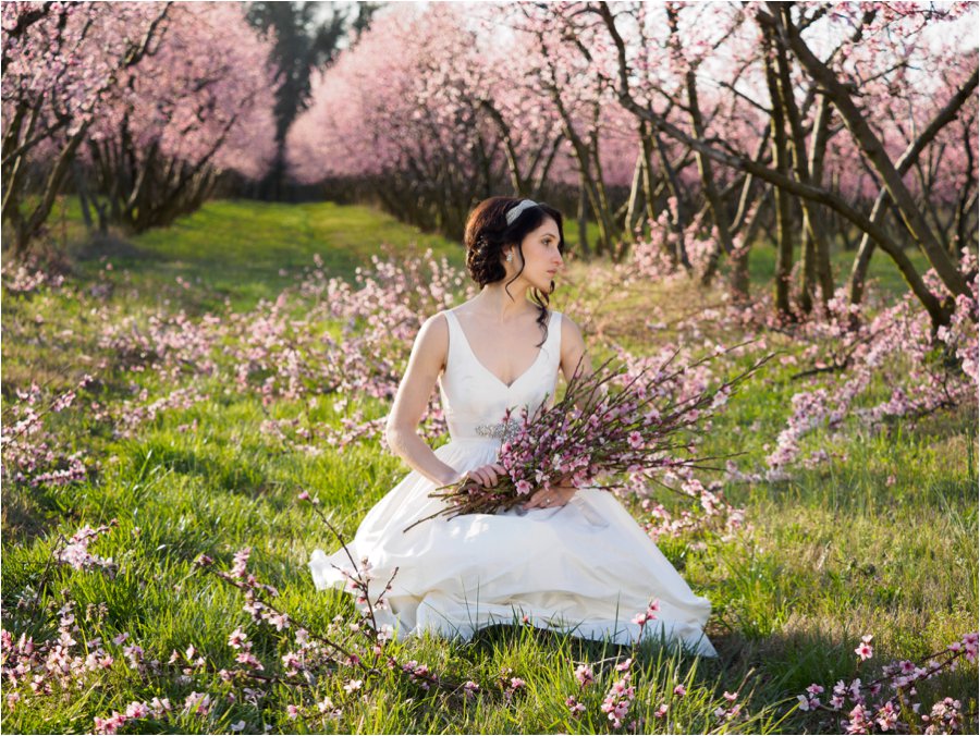 Charlotte Bridal Photos Ashley's Peach Orchard Session - Critsey Rowe ...