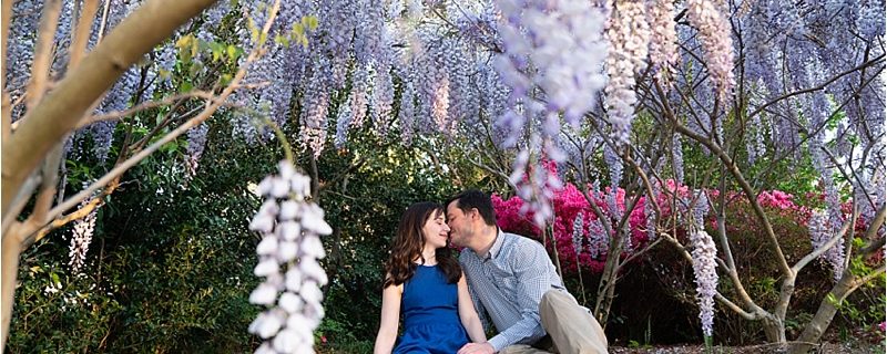 Glencairn Gardens in Rock Hill proposal Photos Engagement