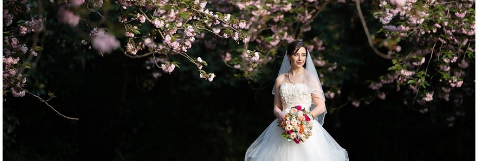 Charlotte bridal portrait locations