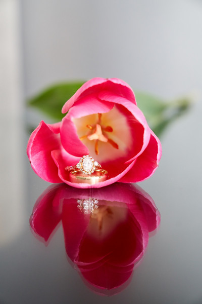 wedding rings Westin Hotel wedding reception venue Charlotte NC Photographers