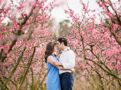 cherry blossom engagment photo session peach tree pictures