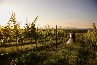Raffaldini Vineyard wedding and reception venue Charlotte NC wedding photographers
