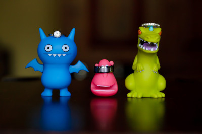 charlotte nc wedding photographers